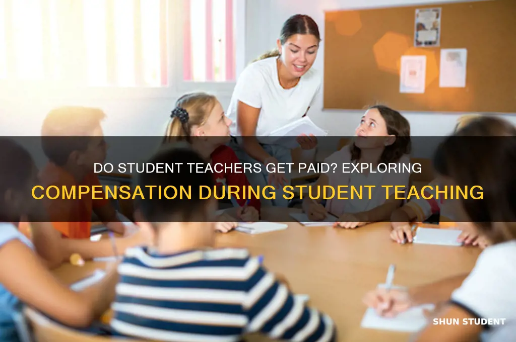 do you get paid to do the student teaching