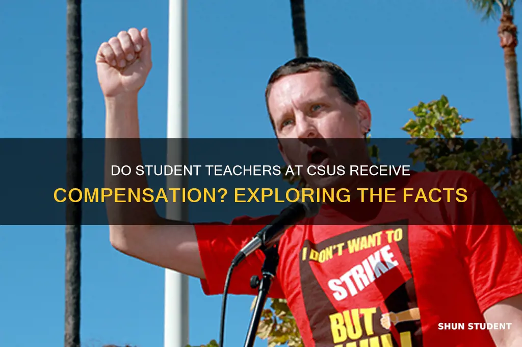 do you get paid to student teach csus