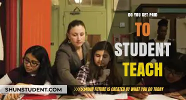 Do Student Teachers Get Paid? Understanding Compensation During Teaching Practice