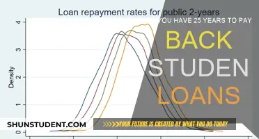 Student Loans: 25 Years to Repay?