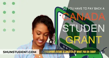 Student Grants: Do You Need to Repay?