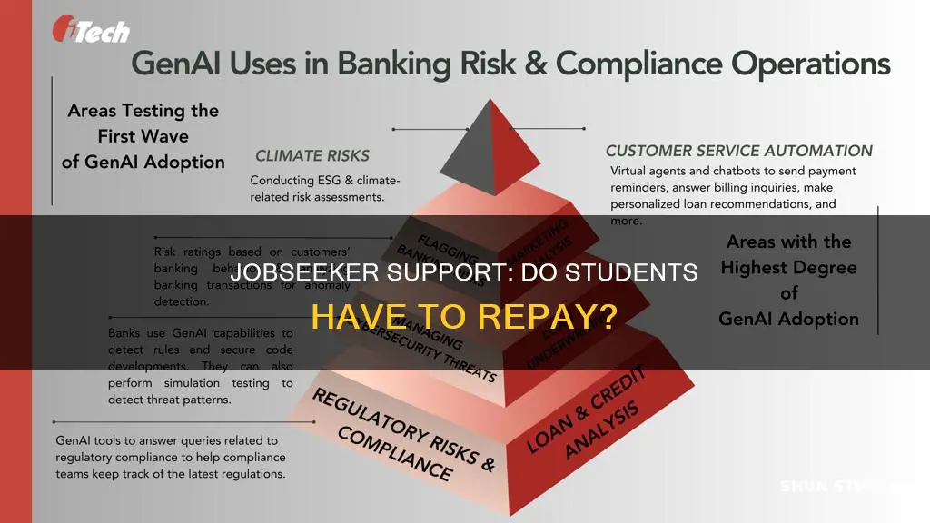 do you have to pay back jobseeker support student hardship