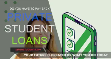 Understanding Private Student Loans and Their Repayment Terms