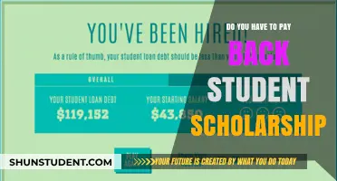 Understanding Scholarship Terms: Do They Need to Be Repaid?