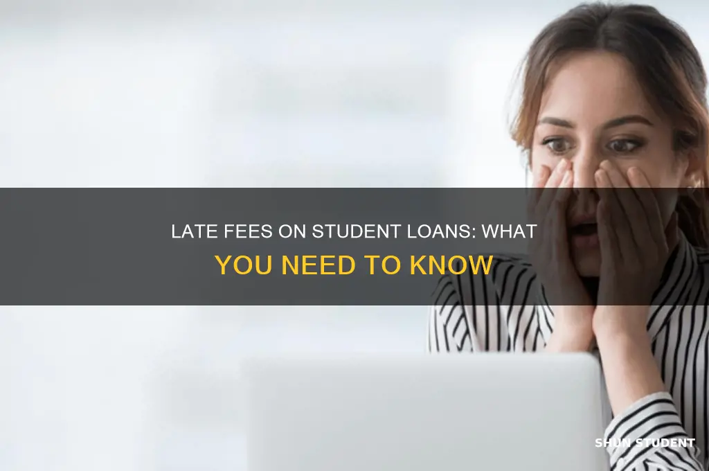 do you have to pay late fees on student loans