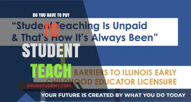 Teaching Practicum: Is It Worth the Cost?