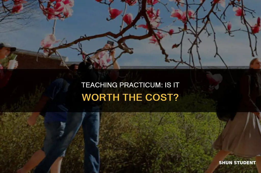 do you have to pay to student teach