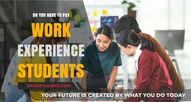 Should Work Experience Students Be Paid?