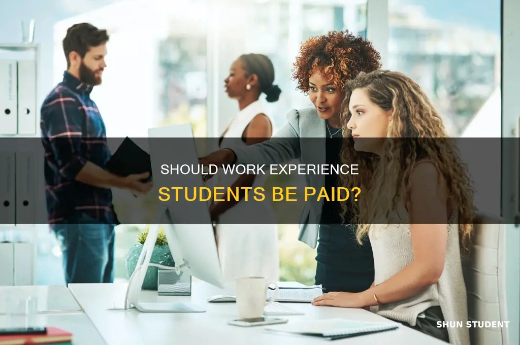 do you have to pay work experience students