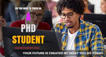 Teaching as a PhD Student: Expectations, Challenges, and Opportunities