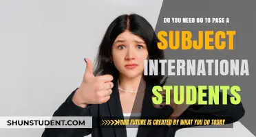 Passing Grades: International Students' Academic Success