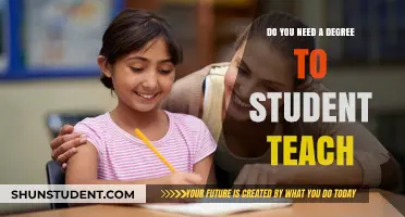 Student Teaching Without a Degree: Is It Possible or Necessary?