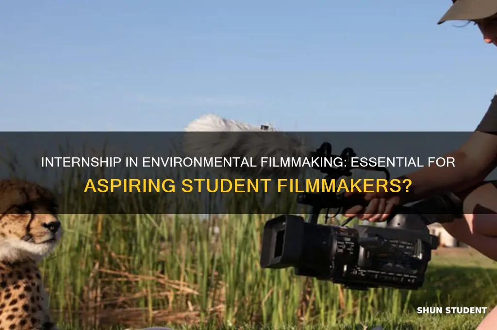 do you need a internship student teaching in environmental filmmaking