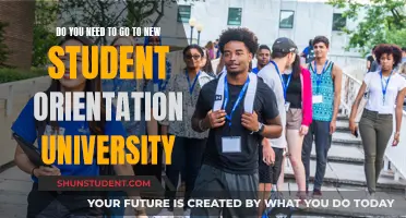 Why University Orientations Are Worth Your Time