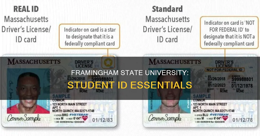 do you need your student id on framingham state university