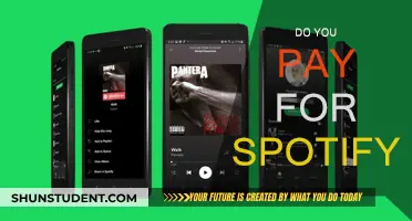 Spotify: Is It Worth Paying For?