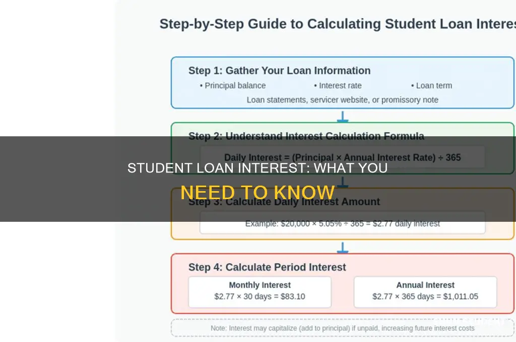 do you pay interest every on student loans