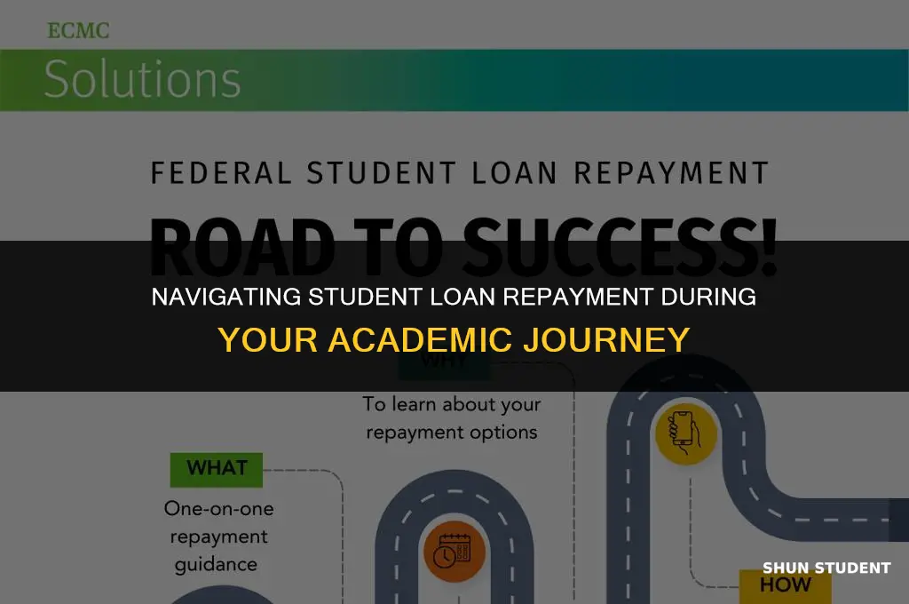 do you pay student loans while in school