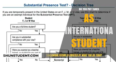 International Students: Tax Payment and You