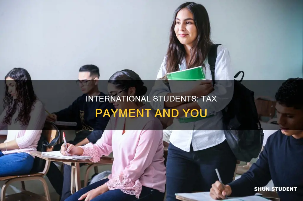 do you pay taxes as international student