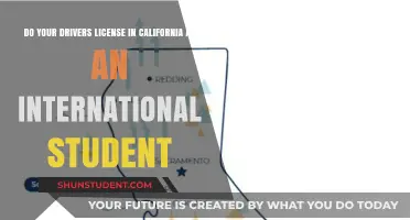 Get Your California Driver's License as an International Student