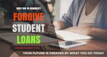 VA Disability and Student Loans: Can 100% Rating Erase Debt?