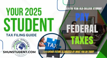 College Students and Federal Taxes: Who Pays?