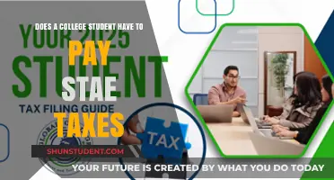 Understanding State Taxes: A Guide for College Students