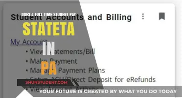 Full-Time Students and State Tax: Who Pays?
