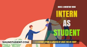 A Mentor's Perspective: Interns as Students