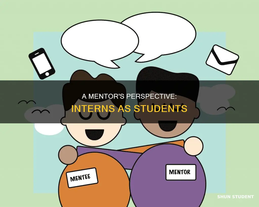 does a mentor view intern as student