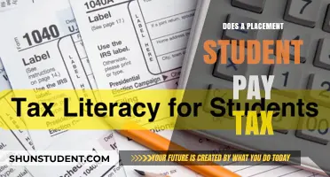 Placement Students and Taxes: What You Need to Know