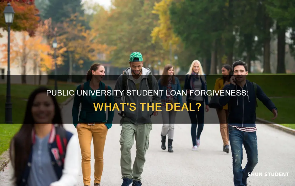 does a public university count towards student loan forgiveness