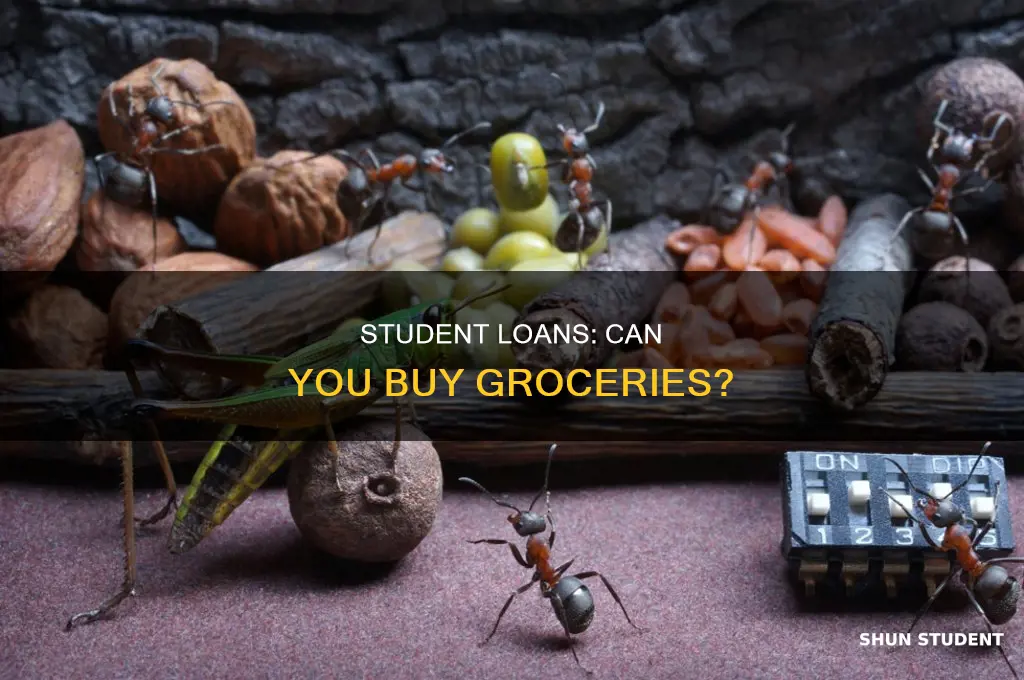 does a student loan pay for food