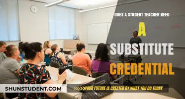 Do Student Teachers Need Substitute Credentials? Essential Requirements Explained