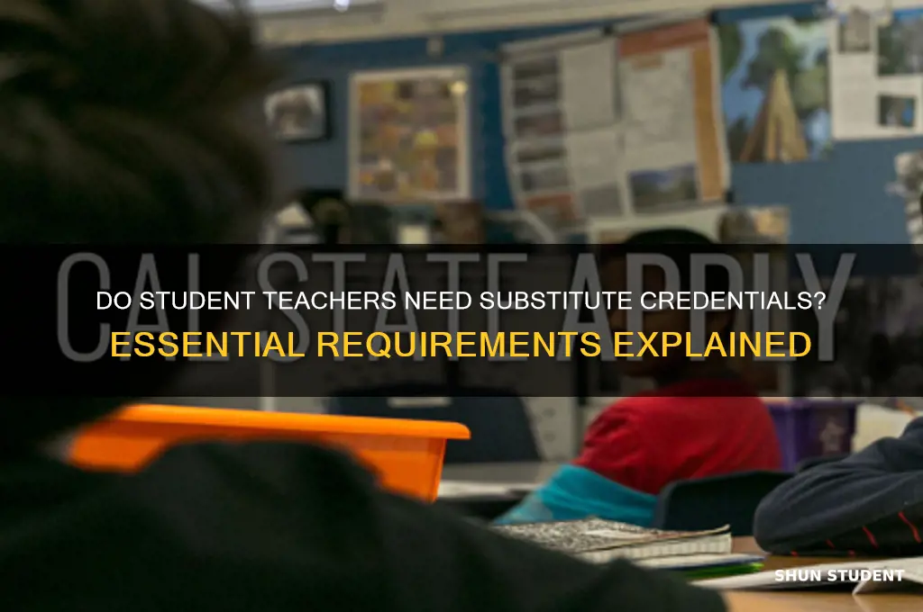 does a student teacher need a substitute credential