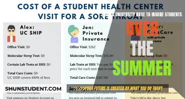 University Insurance: Summer Student Coverage Explained