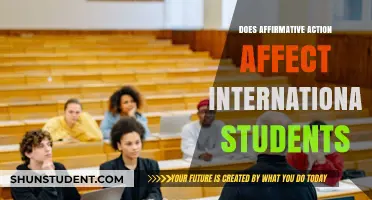 Affirmative Action: Impact on International Students
