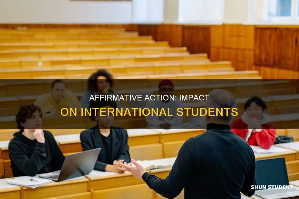 does affirmative action affect international students