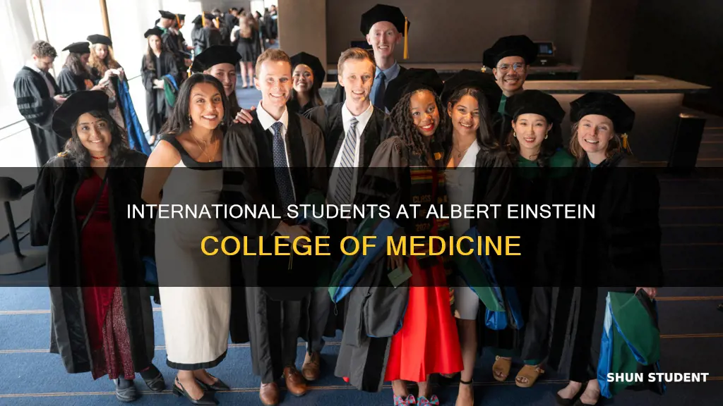 does albert einstein college of medicine accept international students