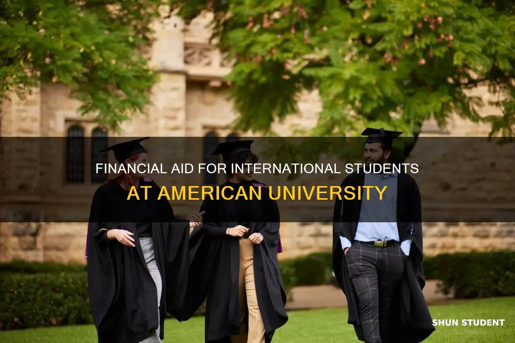 does american university give financial aid to international students