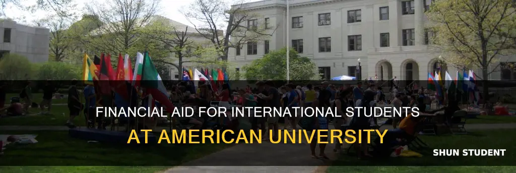 does american university give financial aid to international students