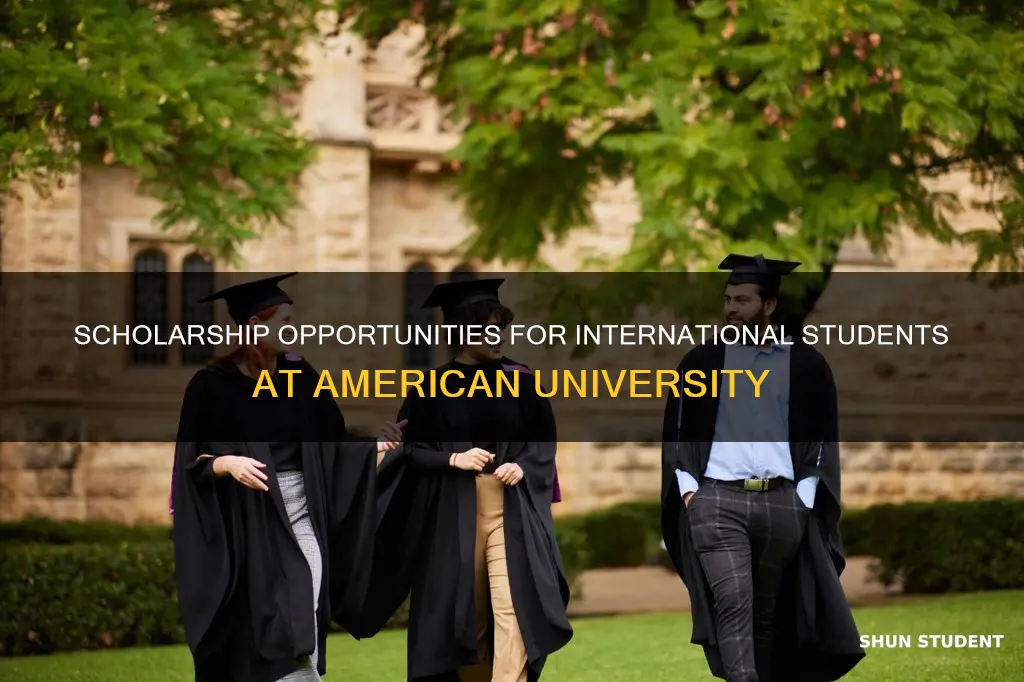 does american university give scholarships to international students