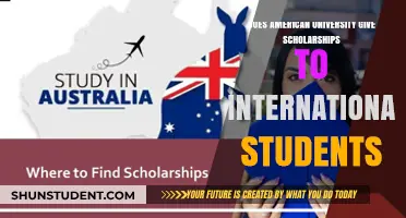 AU Scholarships: Available for International Students?