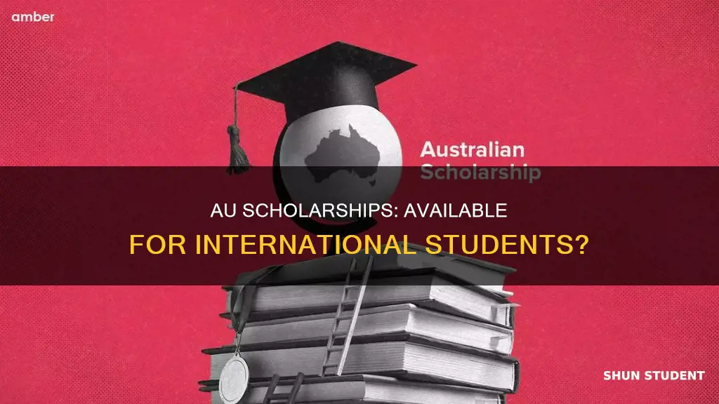 does american university give scholarships to international students