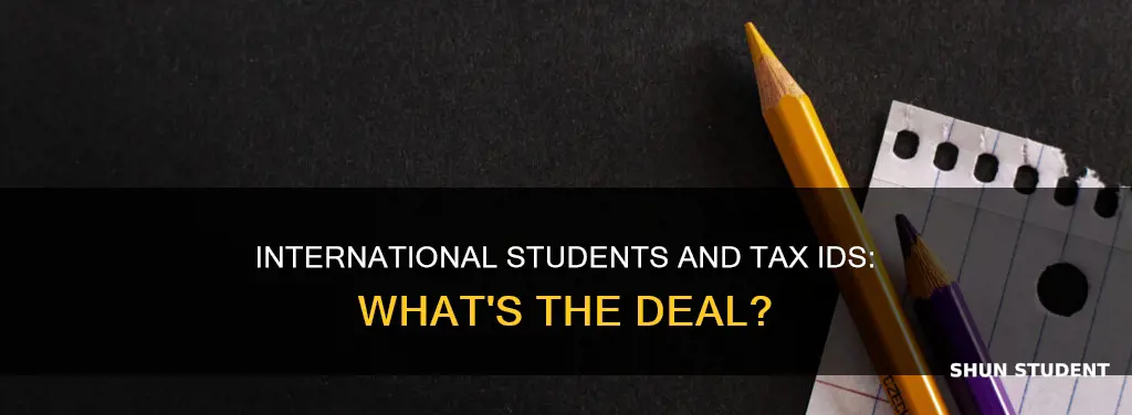 does an international student have a tax id