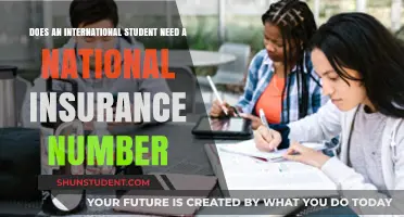 International Students: Do You Need a National Insurance Number?