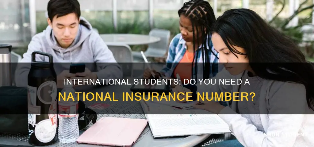 does an international student need a national insurance number