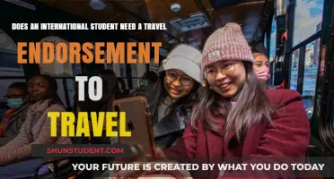 Travel Endorsements: International Students' Travel Requirements