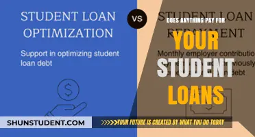 Student Loans: Who Pays and How?